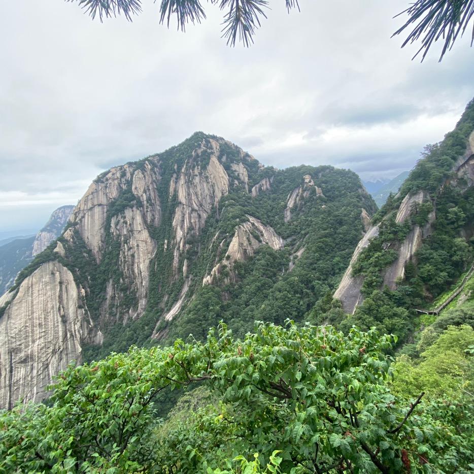 祥安阁🌻装饰画(西固区月星家居)