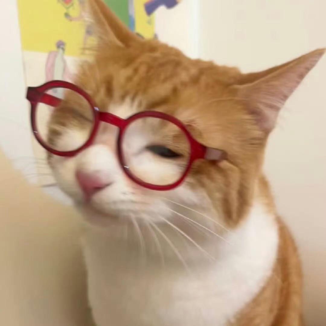 哈喽不kitty