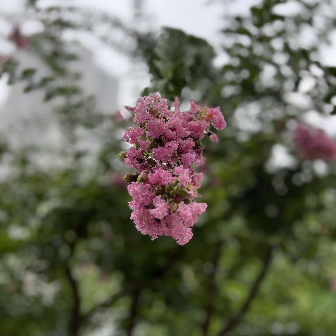 关小关大码穿搭（155斤版)