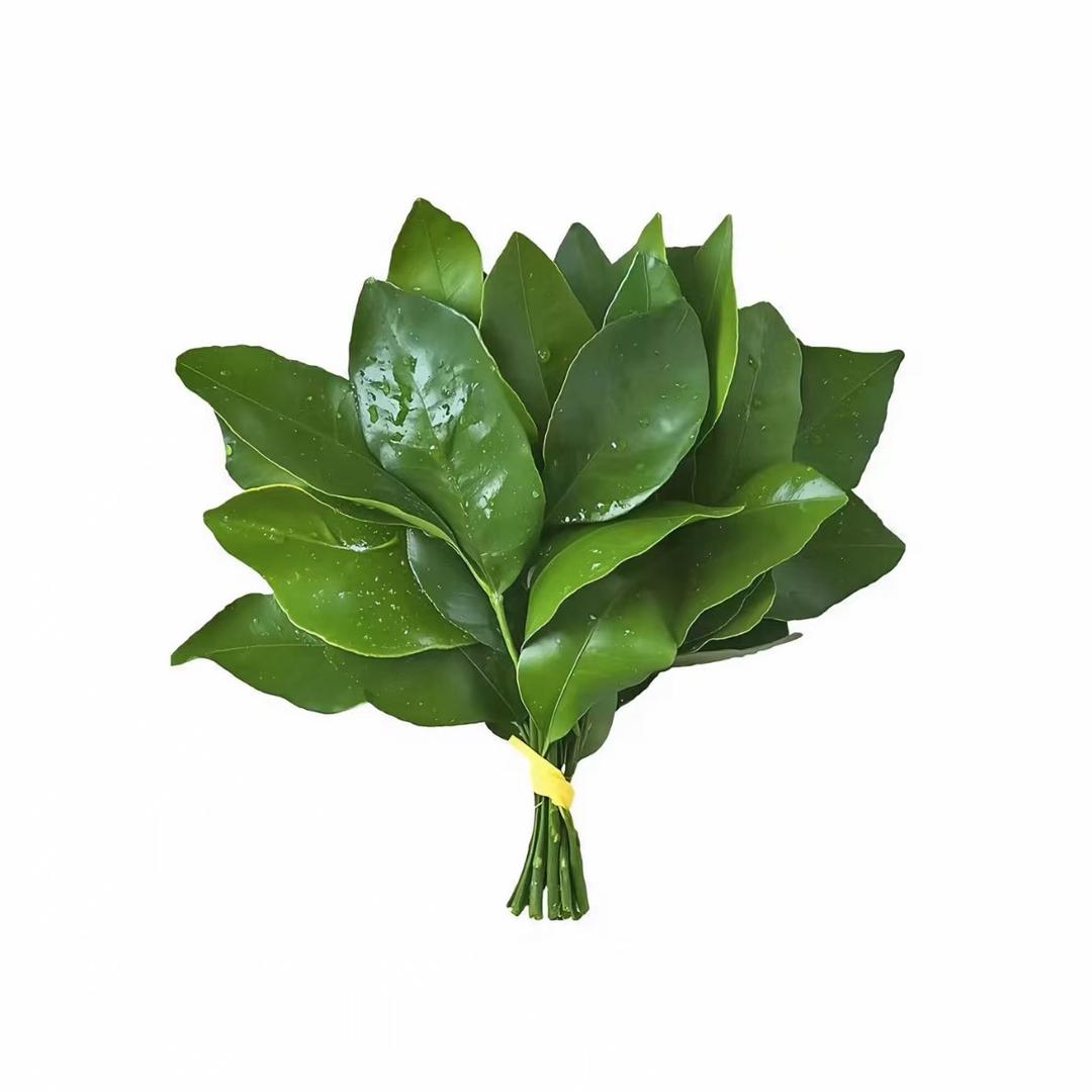 摇摇七喜_