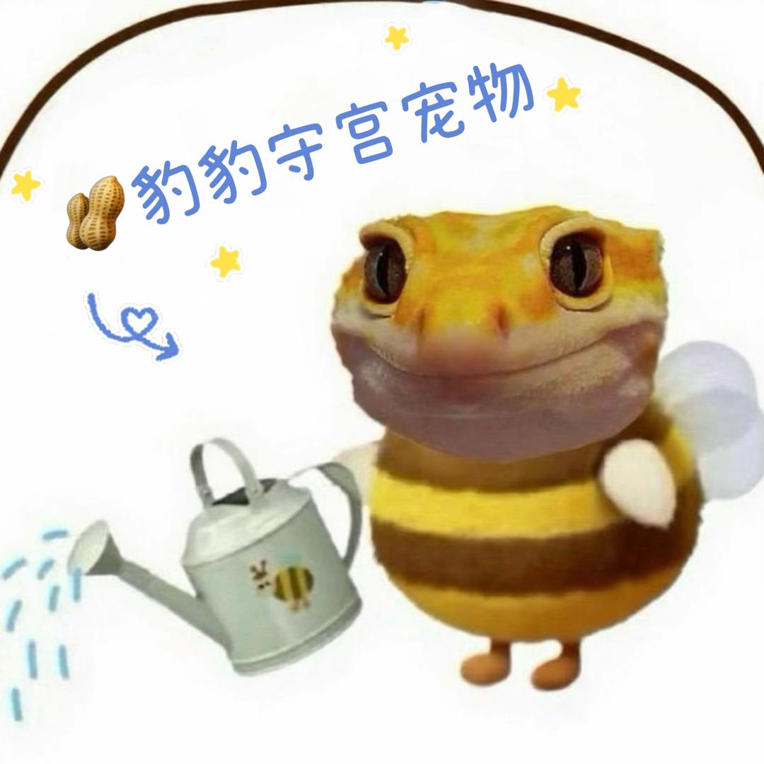 豆仁花豹豹守宫宠物