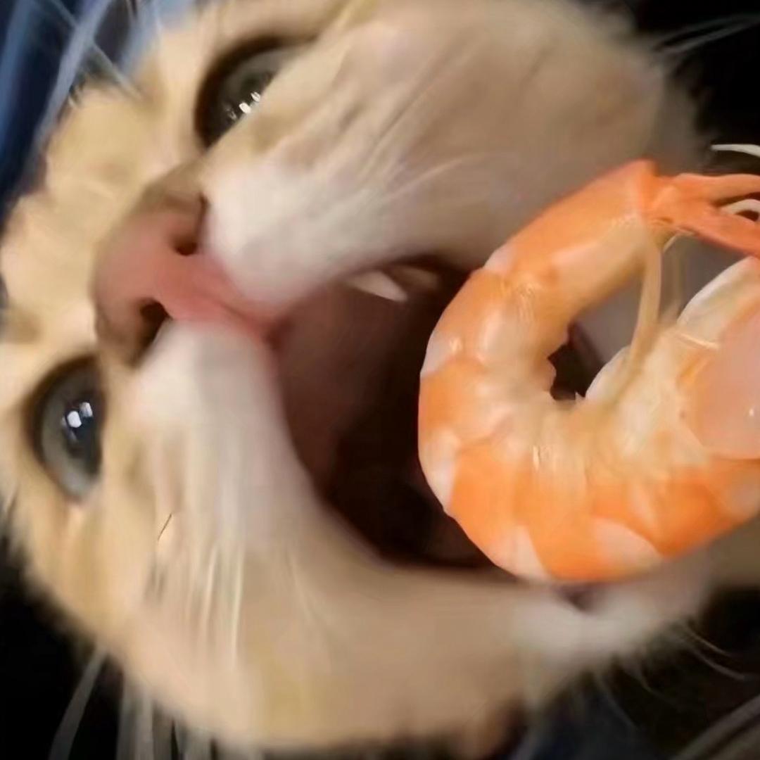 盘子