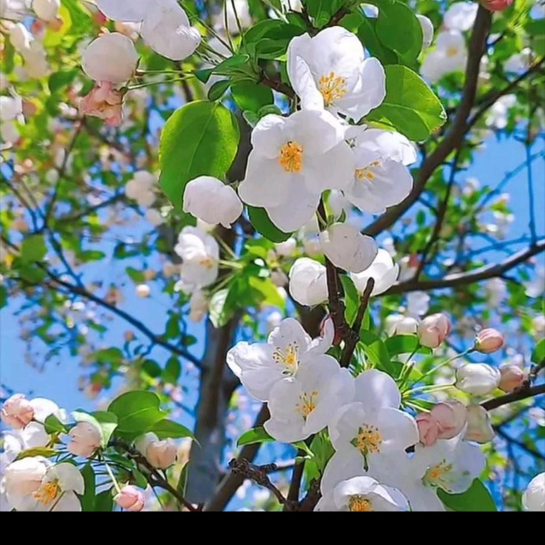 简🌹简🌹单🌹单🌹😊