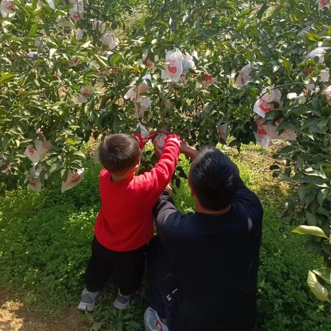 💰 ⃢👁ܫ👁⃢💰