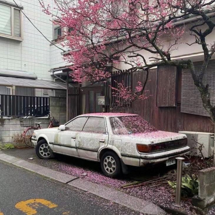 点解