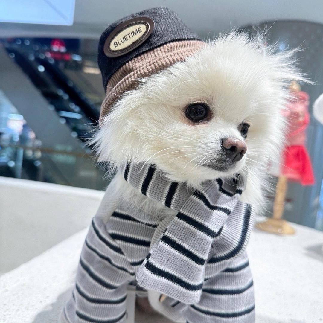 孟家大小姐