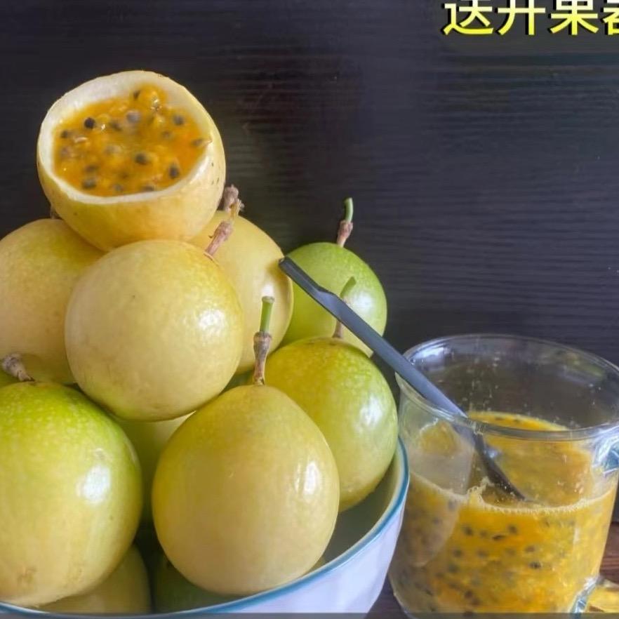 爱吃水果的二老板