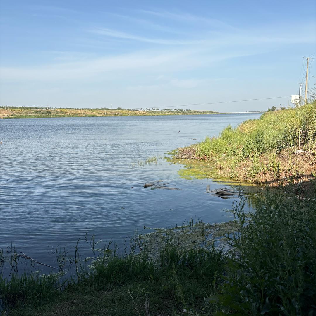 Chen🧚🏻‍♀️