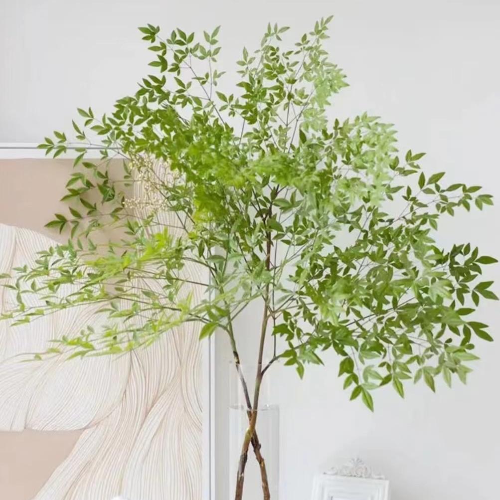 花梦植愈所