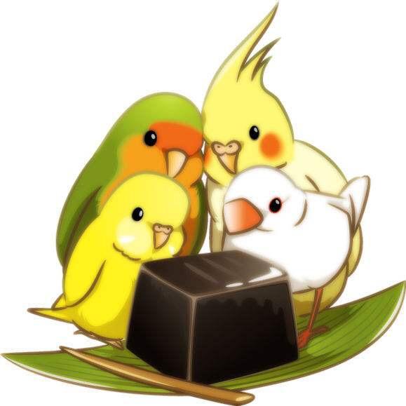 鸟宠百科