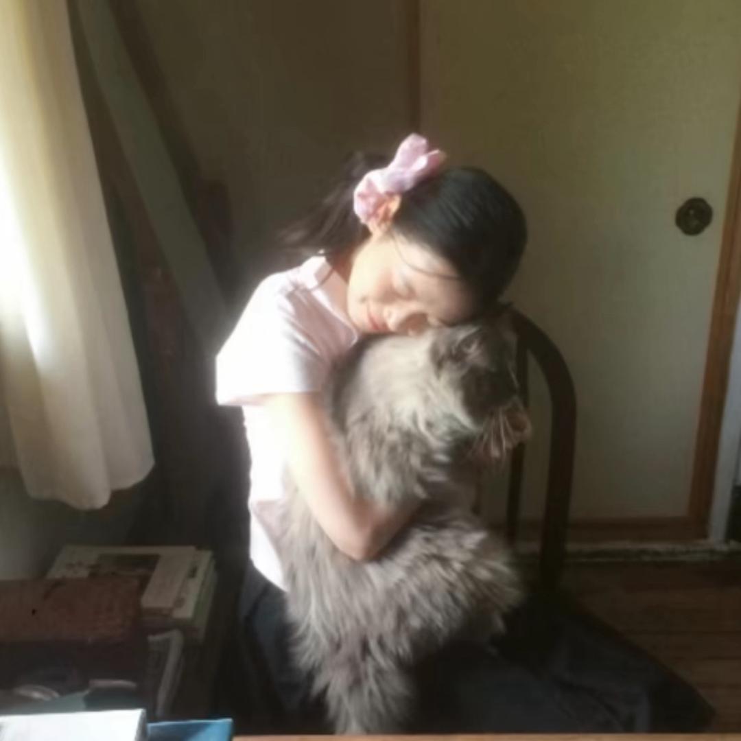 @波力小鱼🫧