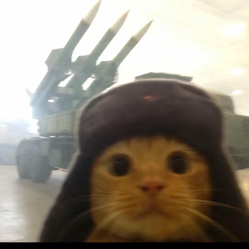 ʕ•͡ˑ͓ʔ苦瓜大魔王🅥