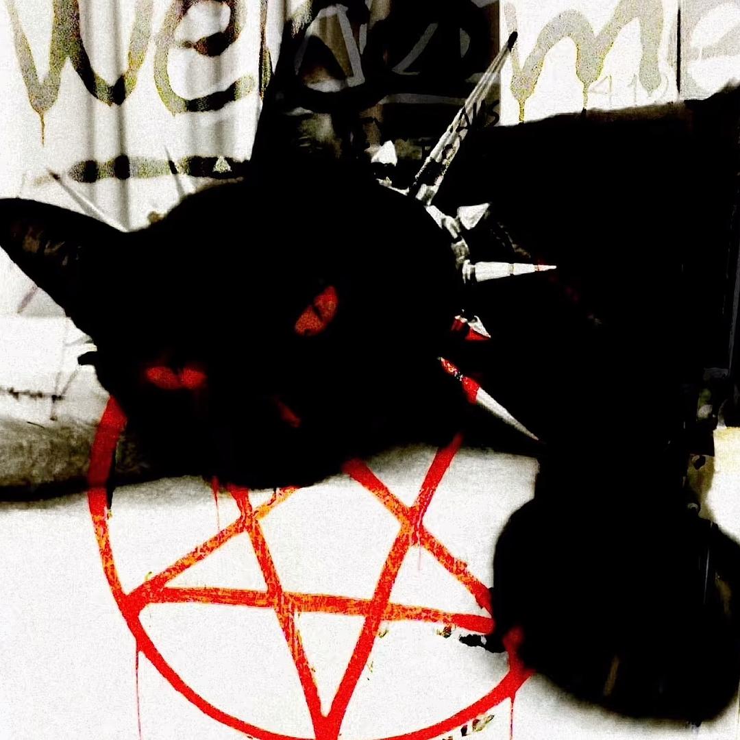 𝖉𝖎𝖙-𝖒𝖔𝖎