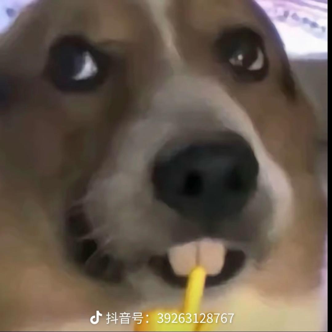 日和月