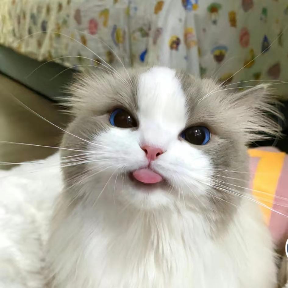 万笔