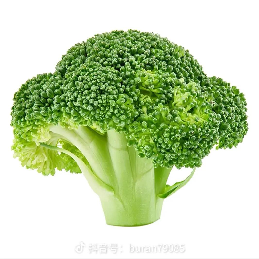 亚里士多缺德　　　　　　　　　　　　　༽