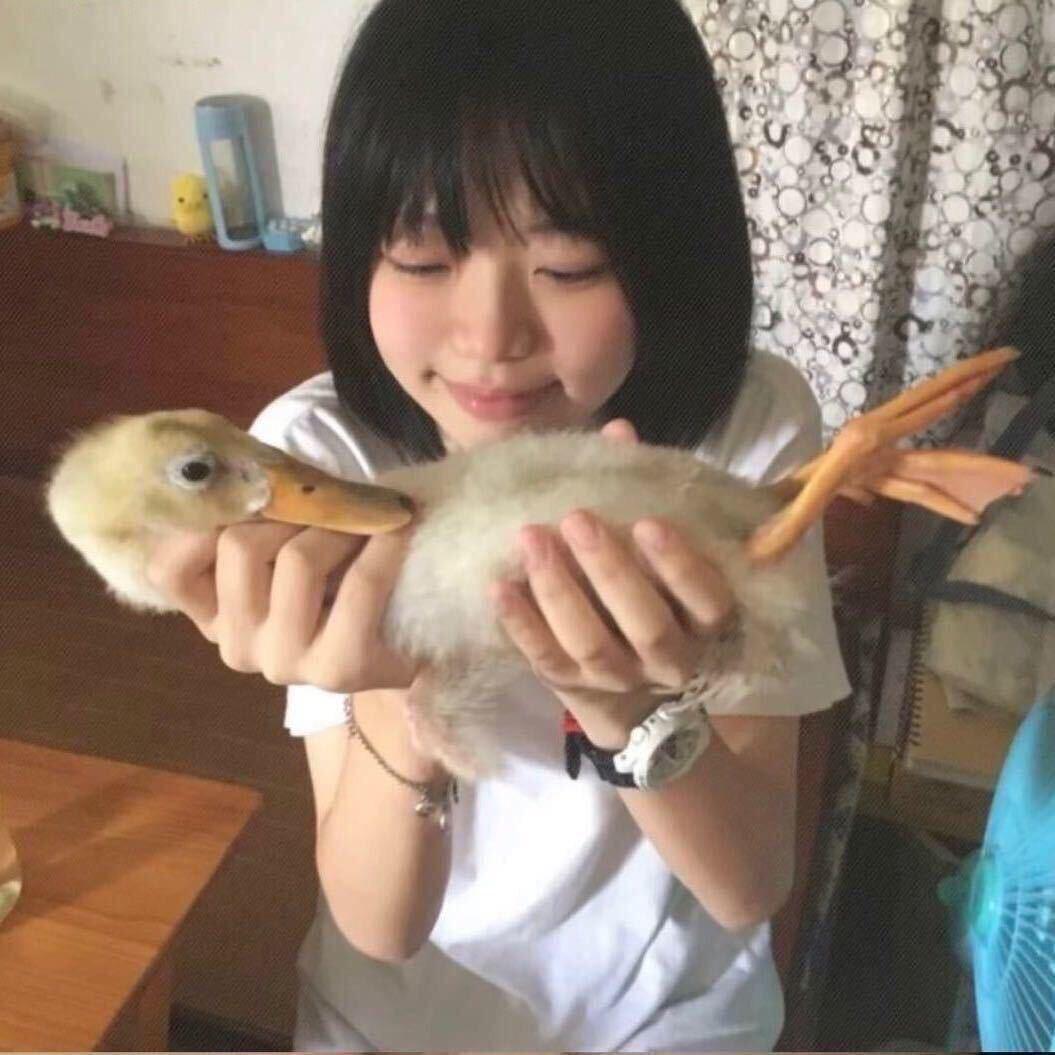 还不乖