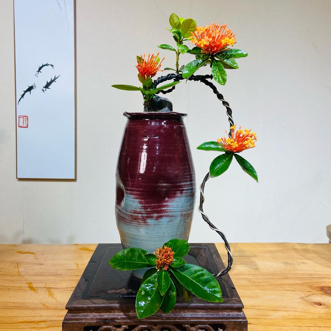 千屿海岛