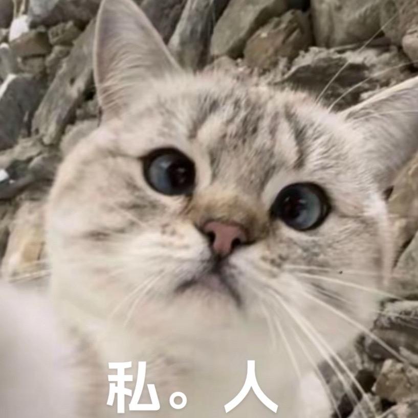 出街人-周总
