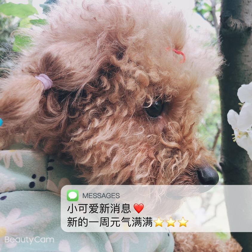 微
