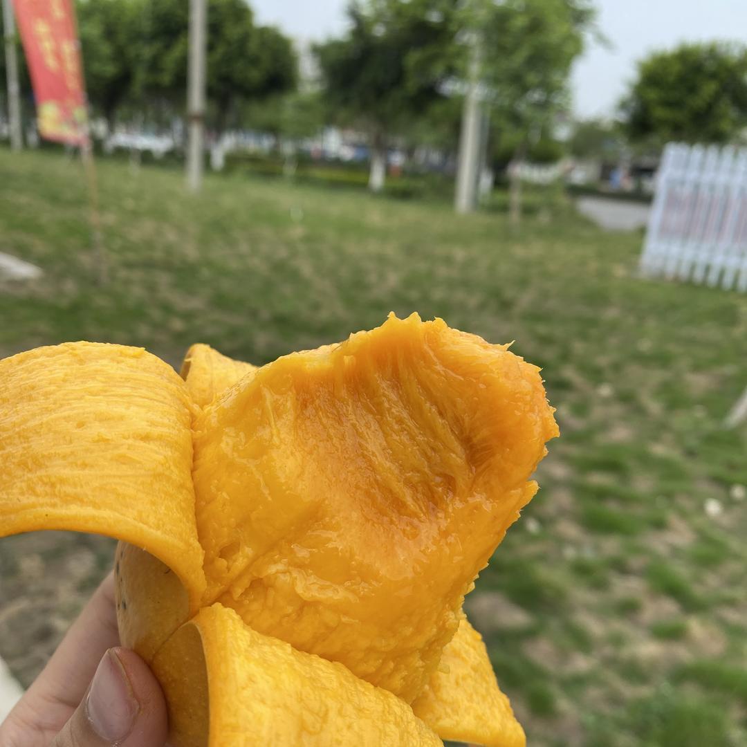 芒芒鲜水果