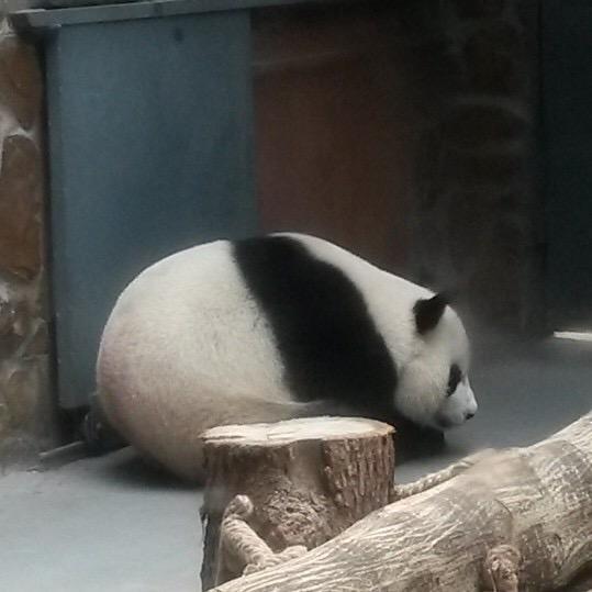 平凡的日子
