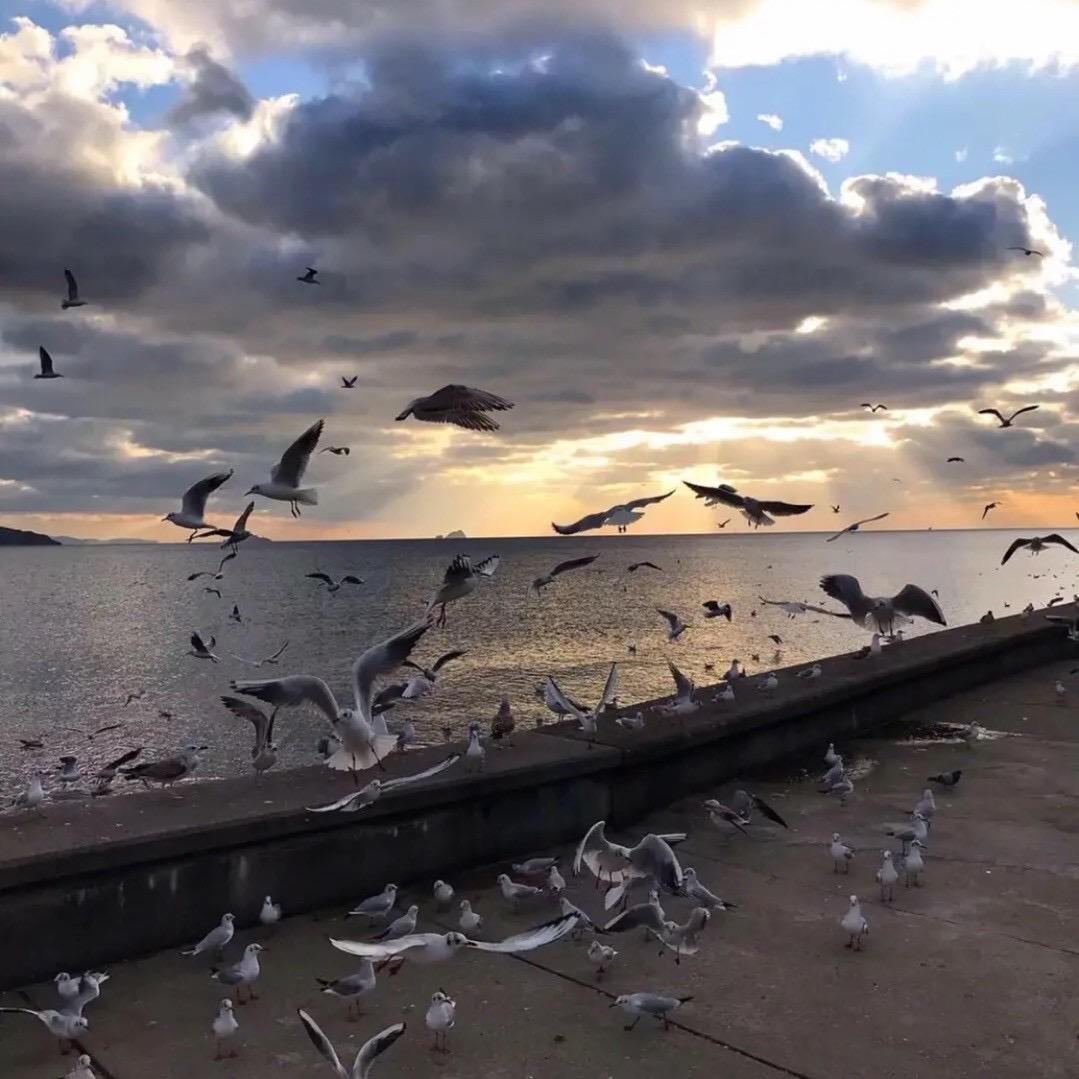 远方传来风笛@抖音