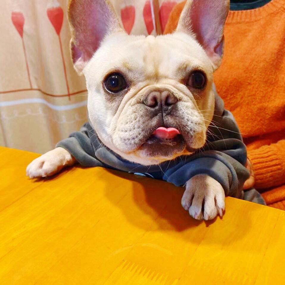 思入云泥