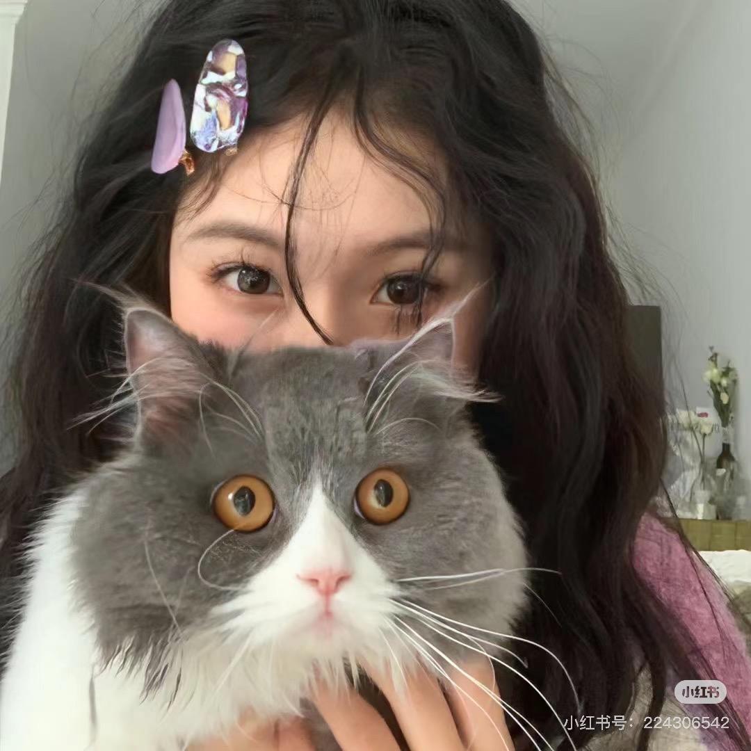 🐈八宝周H-🀄️