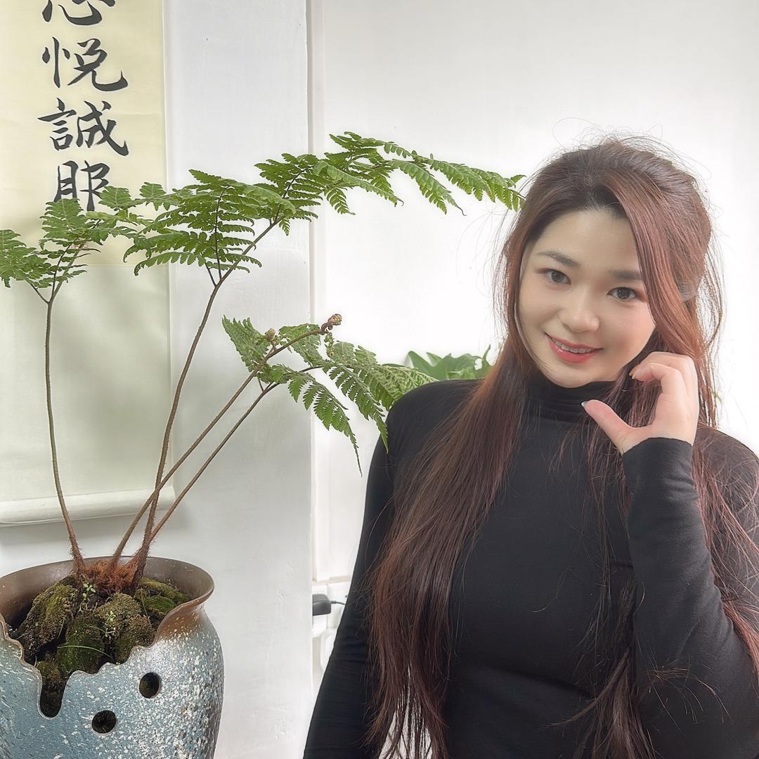丹妹子