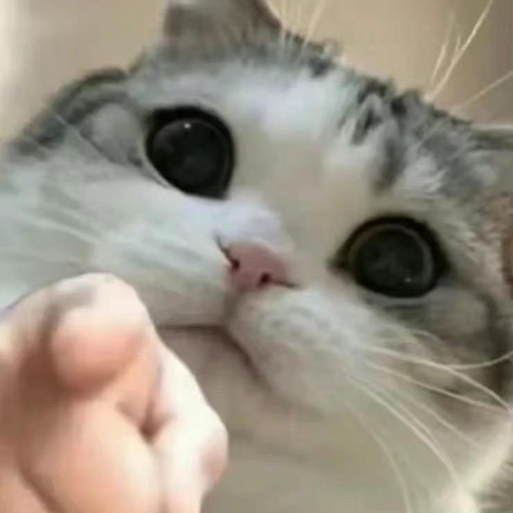 Enki