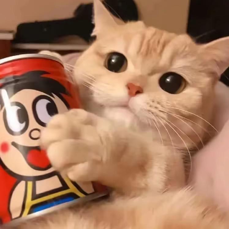小可爱俊