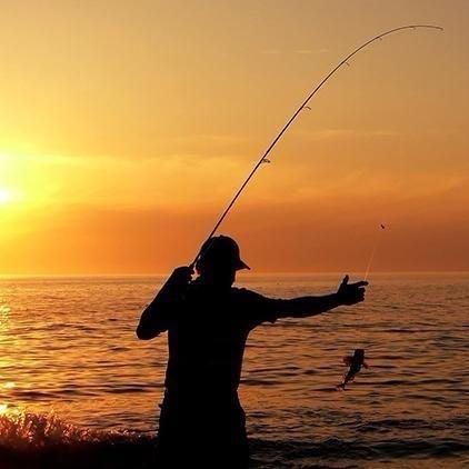 王火火的今日鱼货🎣