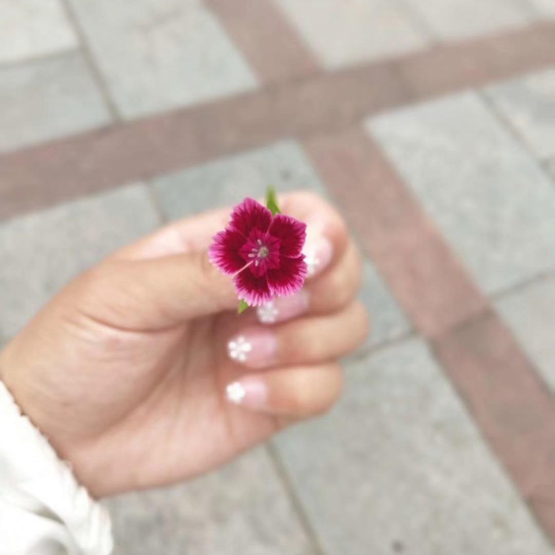 众信旅游