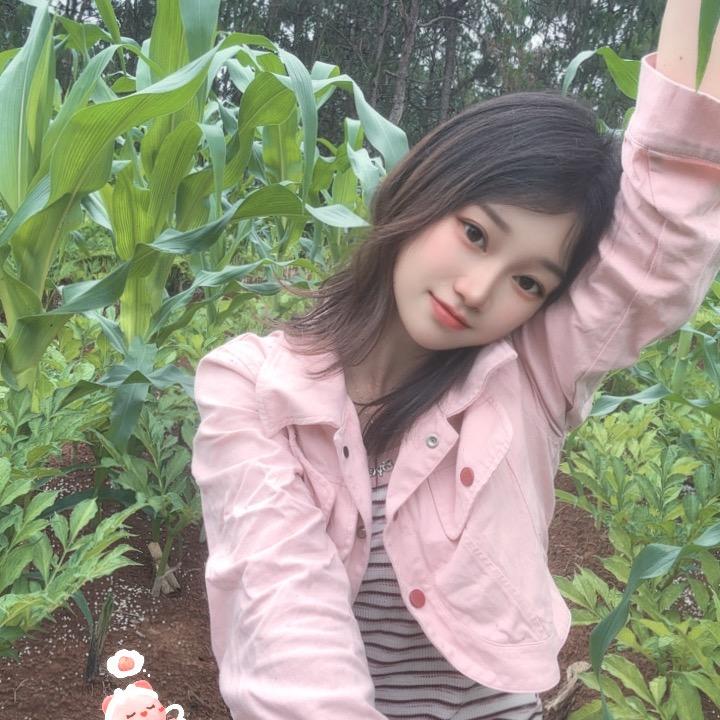 小张种魔芋