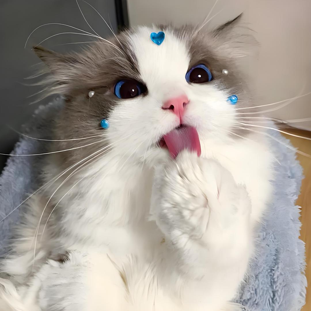 啊喂