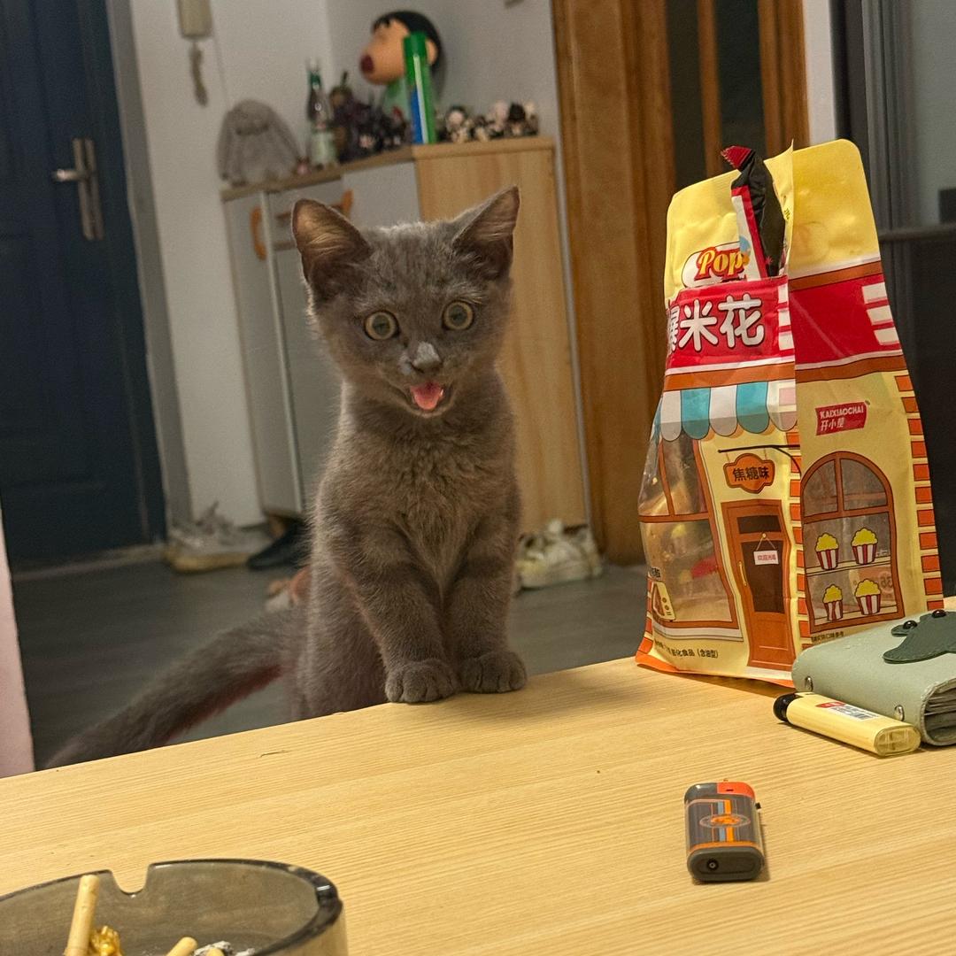 最不起眼的角落