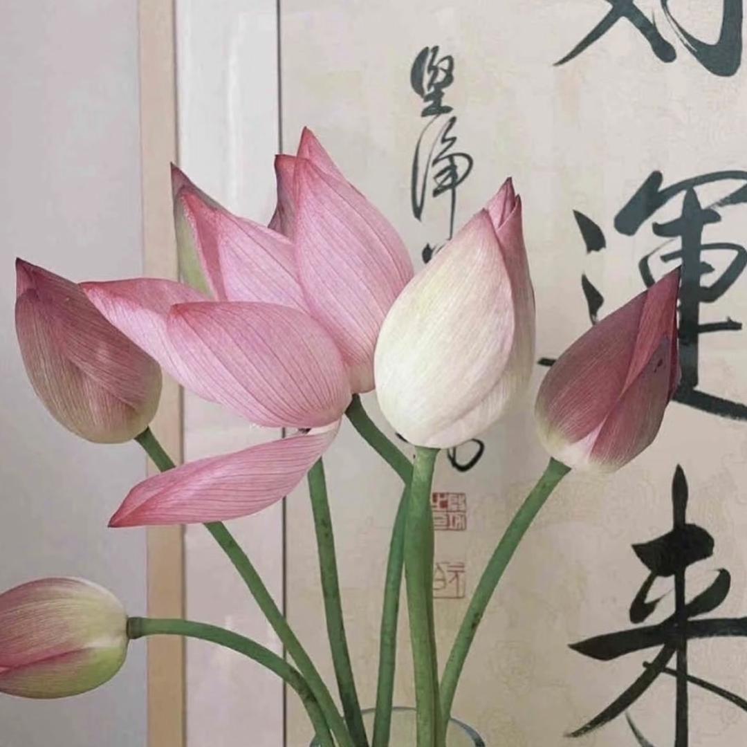 十里清荷