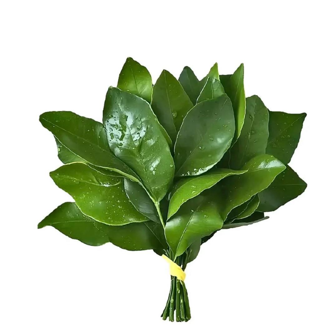 不吐泡的气泡水