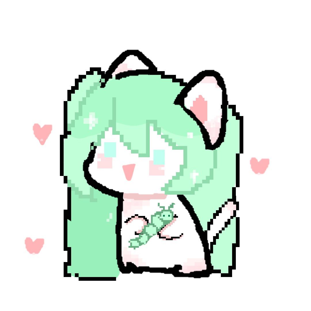 Pet