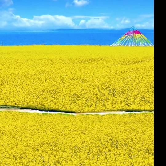 用户