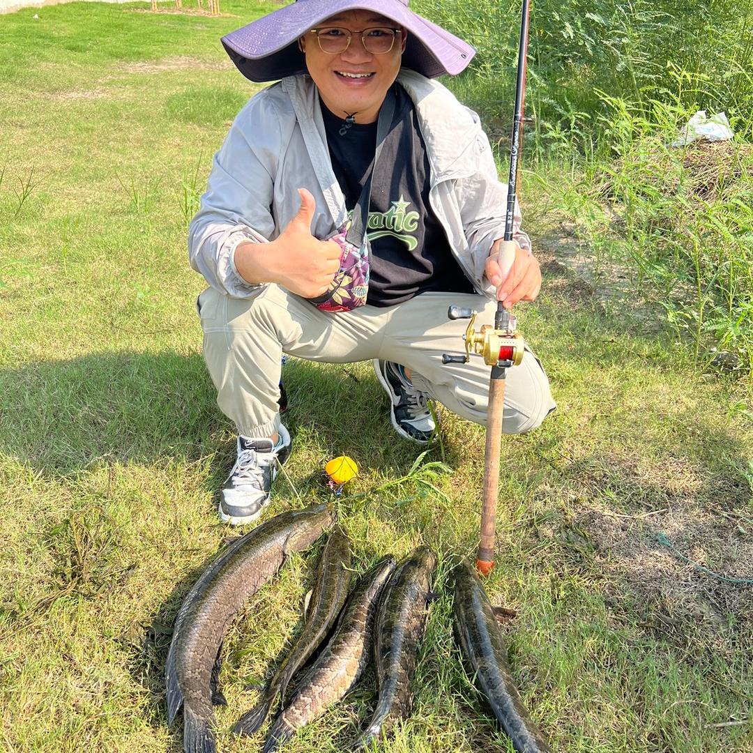 王超