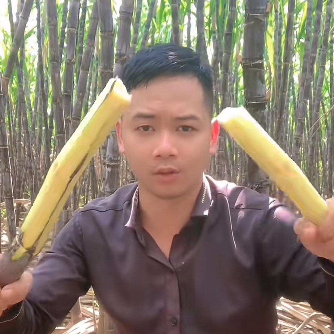 龙州万悦飞哥甘蔗供应