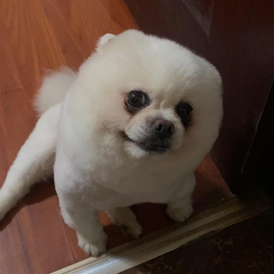 烦恼全吴