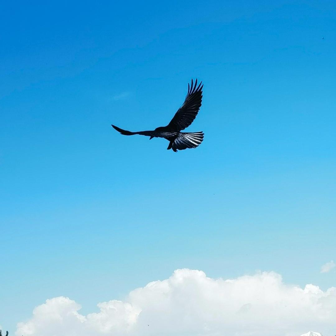 七个隆咚锵咚锵