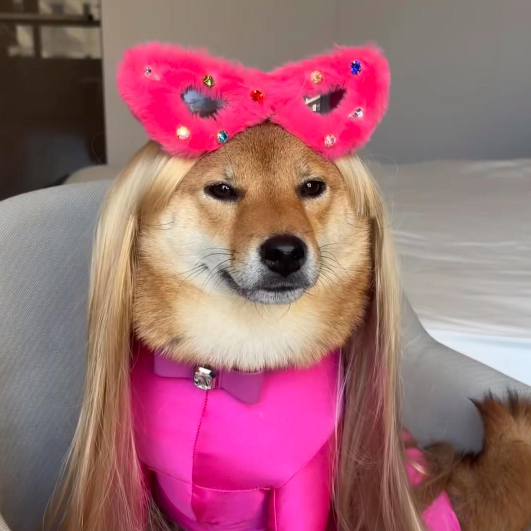_yaya_T
