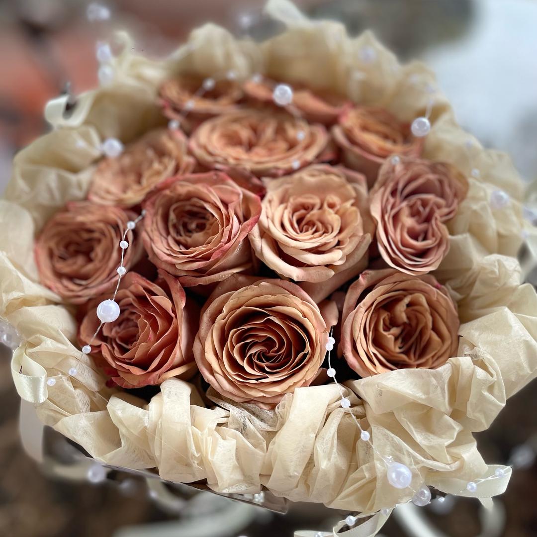 🎵诗情中&漫步