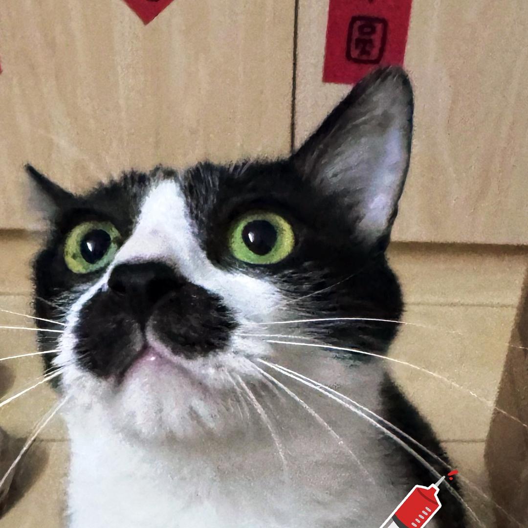 爱发呆的巴嘎头