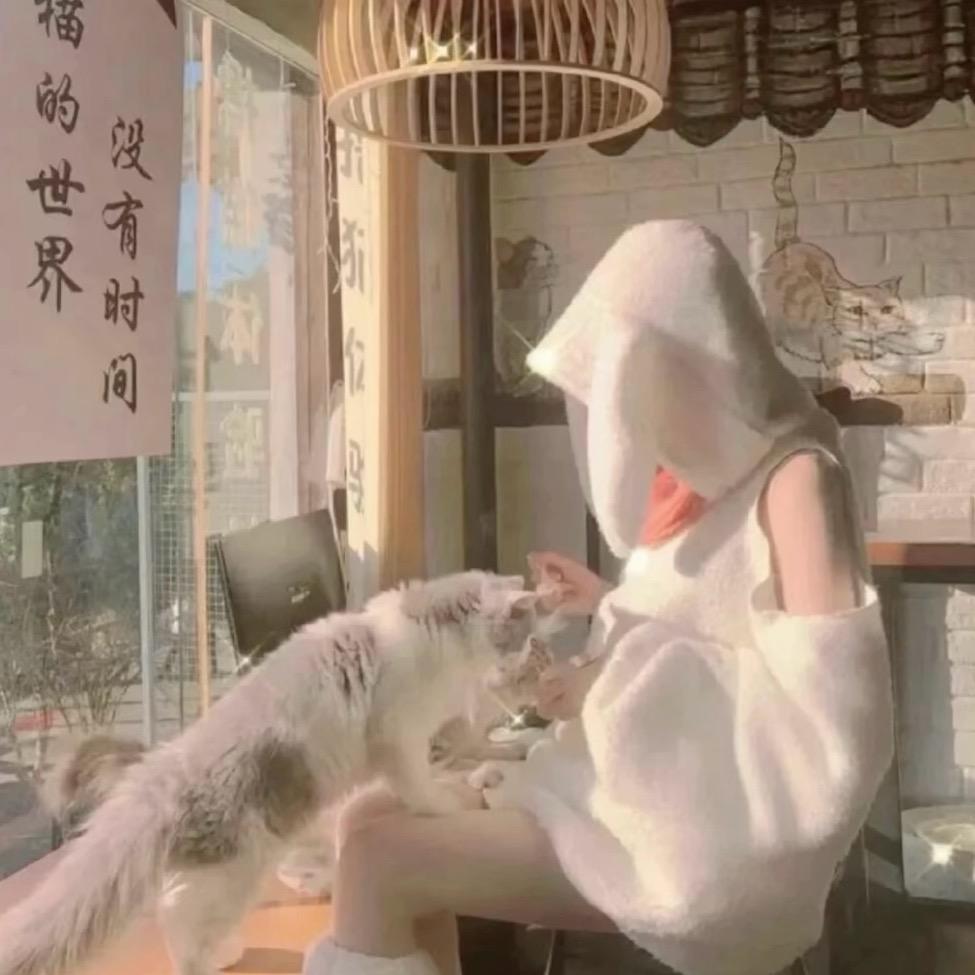 七安