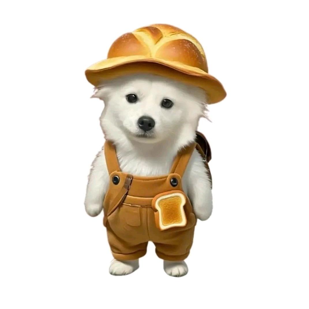 别打了我是酱油